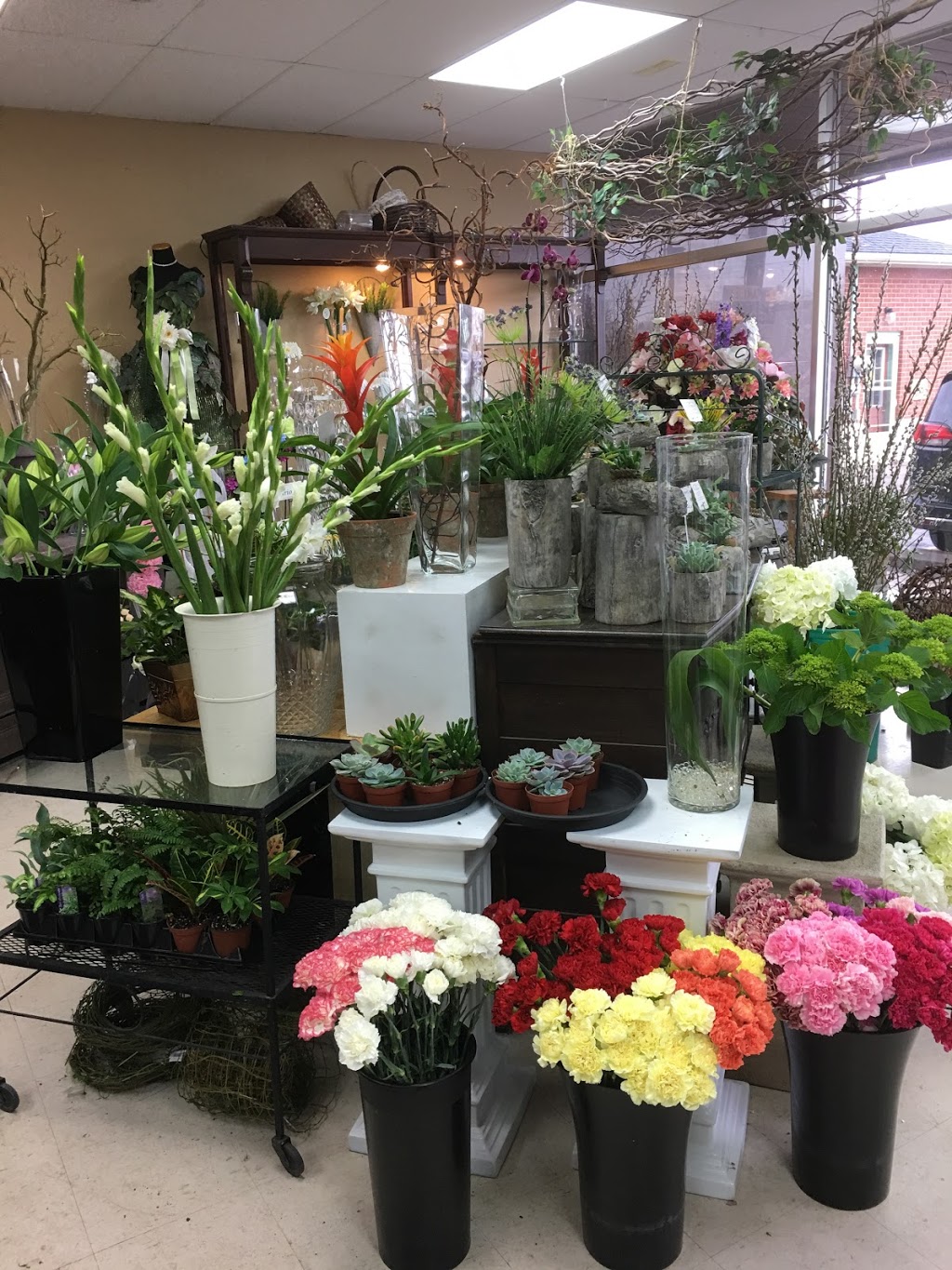 Fascination Flowers | 1104 Fennell Ave E #12, Hamilton, ON L8T 1R9, Canada | Phone: (905) 527-2881