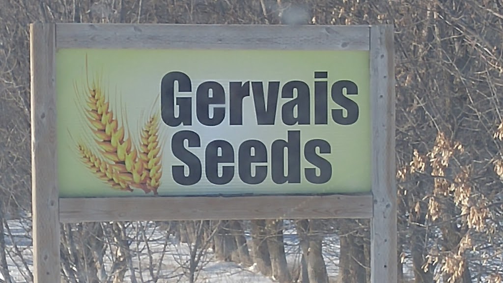 Gervais Seeds | 13089 Rd 65 N, Elie, MB R0H 0H0, Canada | Phone: (204) 899-2560