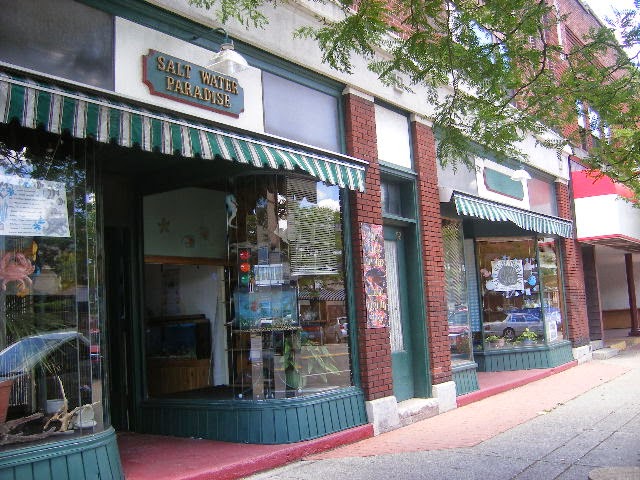 Salt Water Paradise | 54 Main St, Tonawanda, NY 14150, USA | Phone: (716) 743-0933