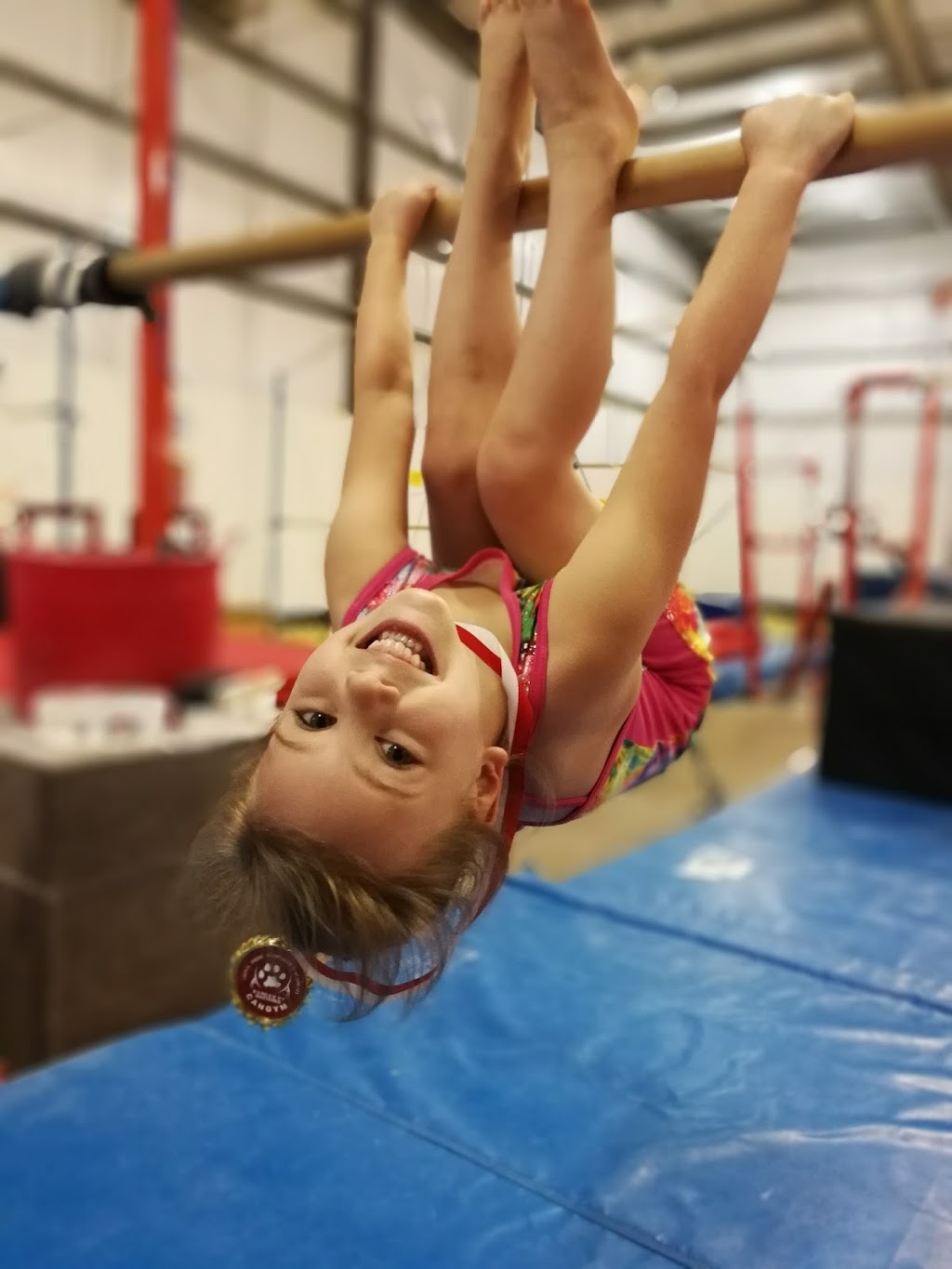 Lions Pride Gymnastics | 1060 Henry Eng Pl, Victoria, BC V9B 6B2, Canada | Phone: (250) 383-3547