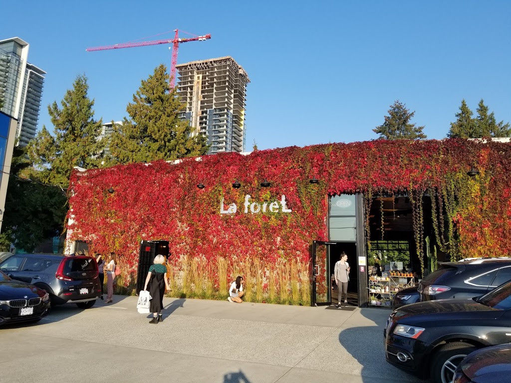 La Forêt | 6848 Jubilee Ave, Burnaby, BC V5J 4B3, Canada | Phone: (604) 428-8155