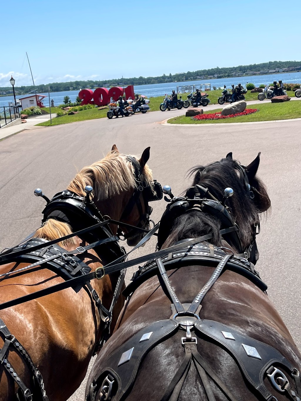 Emerald Isle Carriage Tours | 6 Prince St, Charlottetown, PE C1A 4P5, Canada | Phone: (902) 313-1000