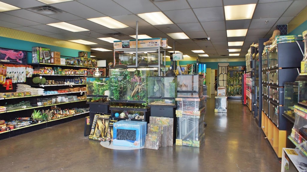 All Reptiles | 99-1911 Kennedy Rd, Scarborough, ON M1P 2L9, Canada | Phone: (647) 343-0669