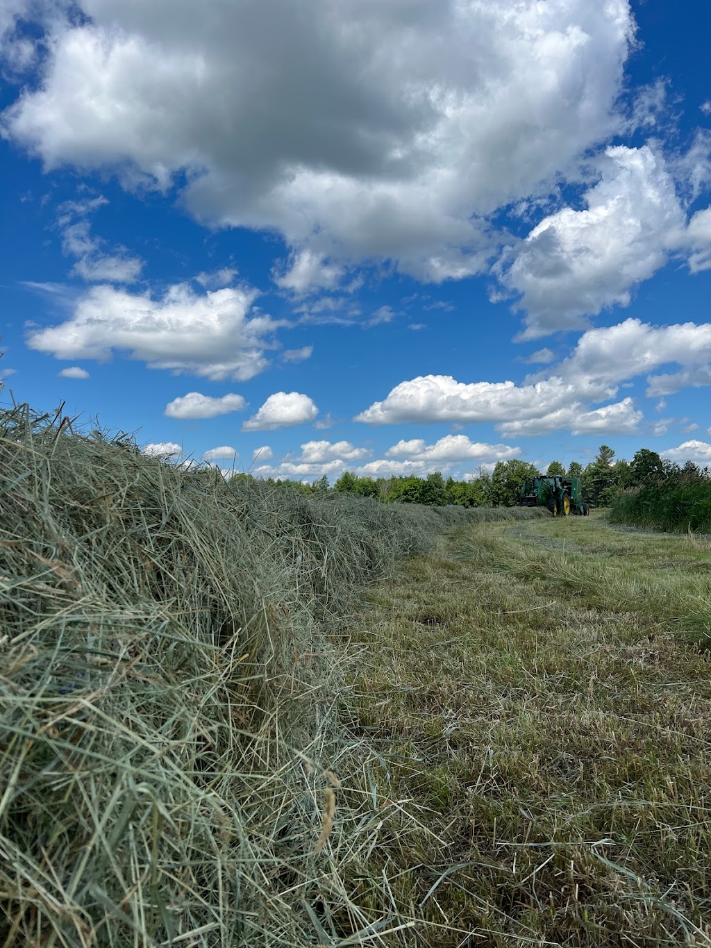 Fermes Terra Agri | 18 Chem. Saint-Henri, Sainte-Marthe, QC J0P 1W0, Canada | Phone: (514) 824-3361