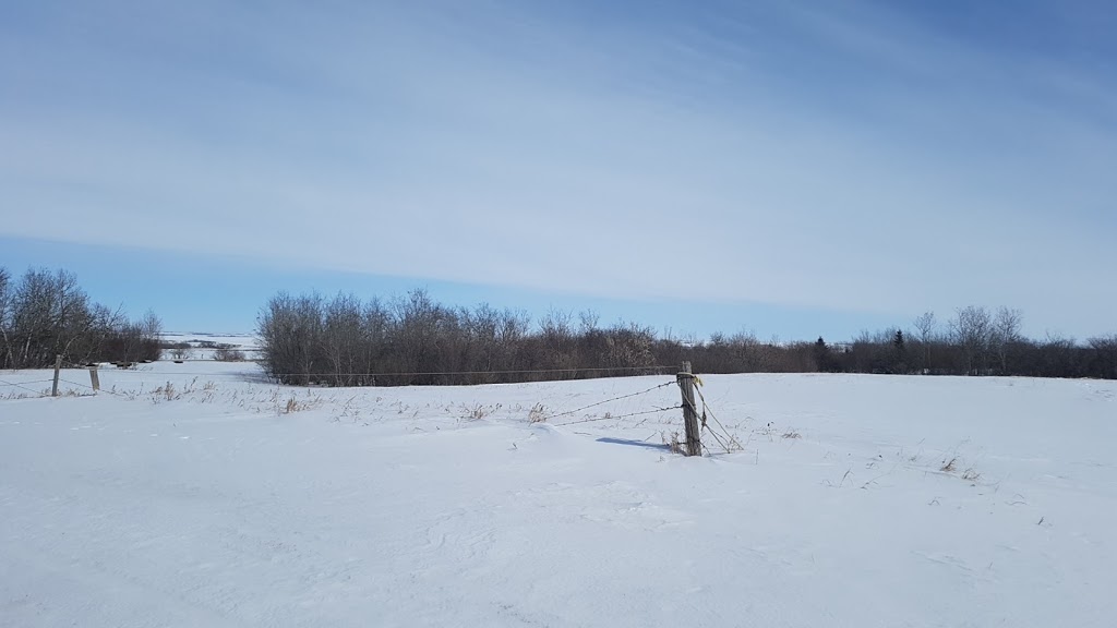 Prairie Sky Cemetries | Valley View Rd, Aberdeen, SK S0K 0A0, Canada