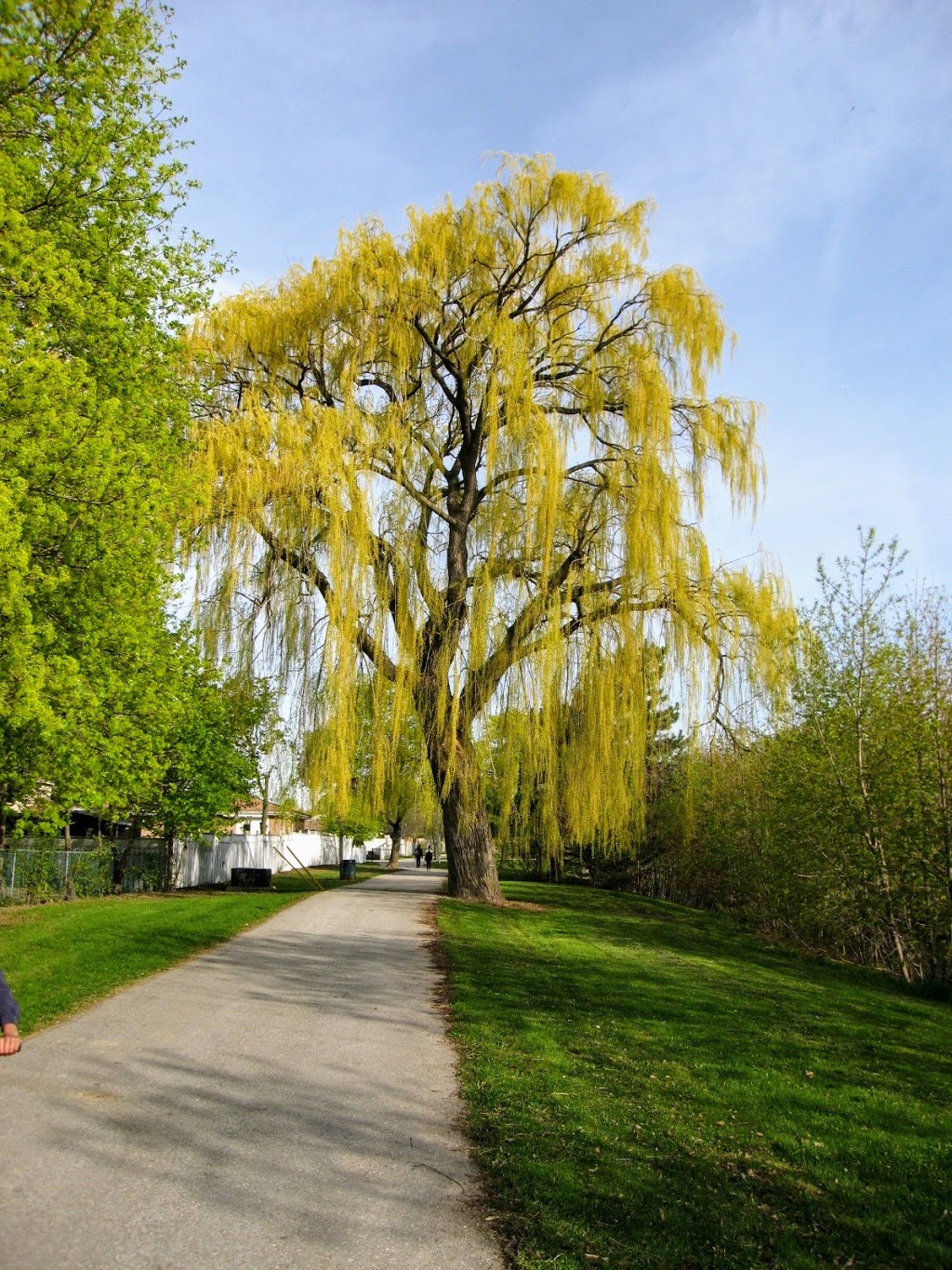 Balmoral Park | Brampton, ON L6T 1V5, Canada