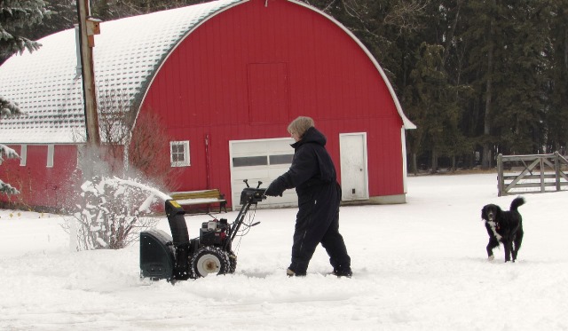 Scholten Family Farm | 471060, RGE RD 243A, Wetaskiwin, AB T9A 1W8, Canada | Phone: (780) 352-1039