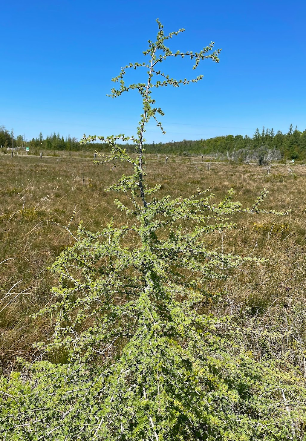 Petrel Point Nature Reserve | Petrel Point Rd, South Bruce Peninsula, ON N0H 1X0, Canada | Phone: (800) 440-2366