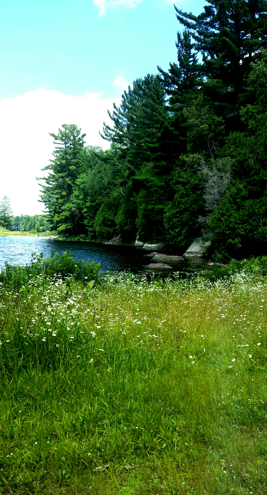 Bigwind Lake Provincial Park | Highway 118, Baysville, ON P0B 1A0, Canada | Phone: (705) 789-5105