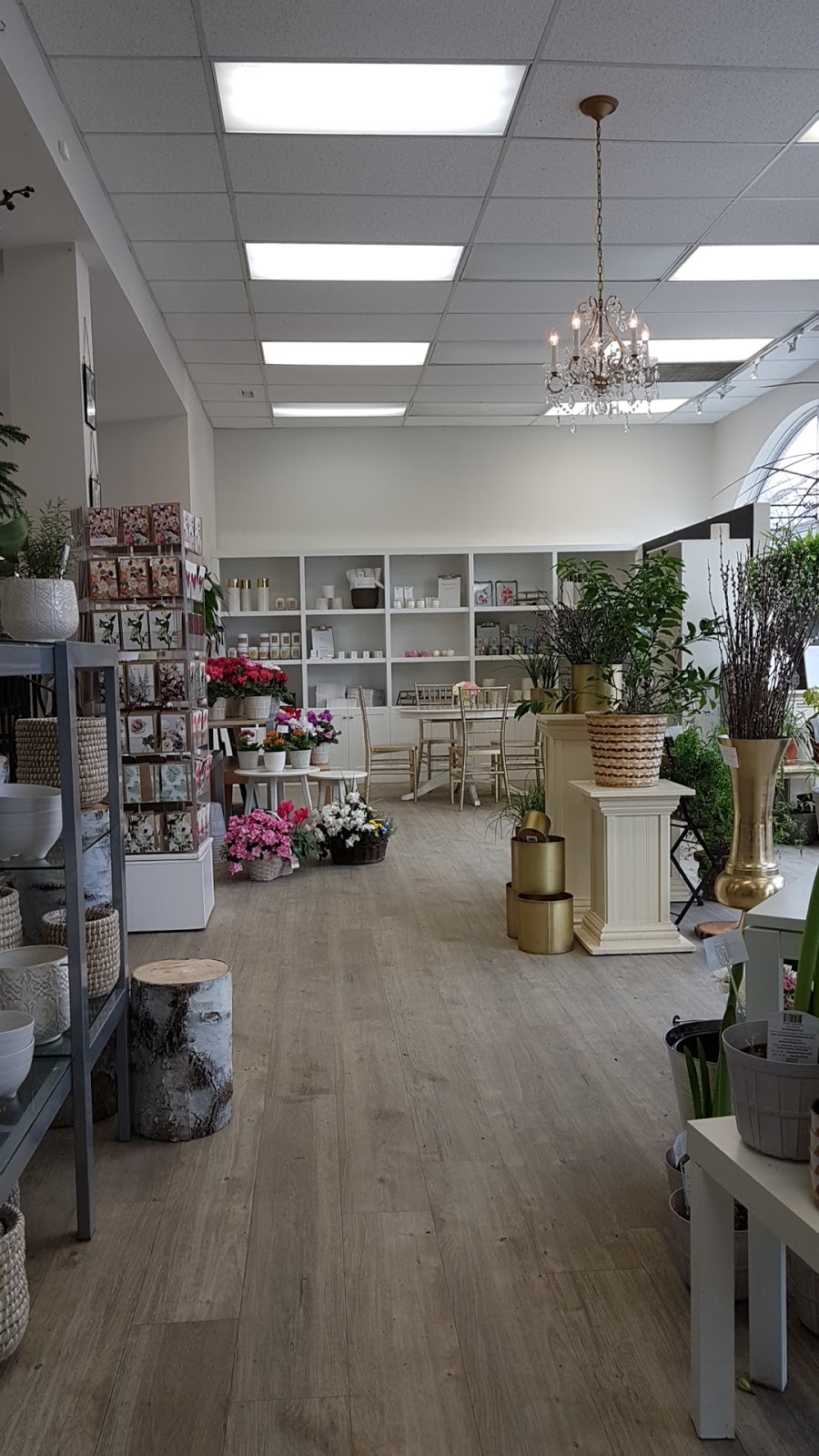 Academy Florist | 925 Corydon Ave, Winnipeg, MB R3M 0W8, Canada | Phone: (204) 488-4822