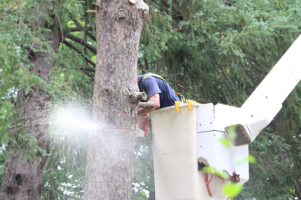 Dickies Tree and Shrub Care | 75 Townline, Orangeville, ON L9W 1V7, Canada | Phone: (905) 587-1587