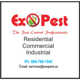 Exopest Pest control | Ph 1,1503 west, W 66th Ave, Vancouver, BC V6P 2R8, Canada | Phone: (604) 760-1542