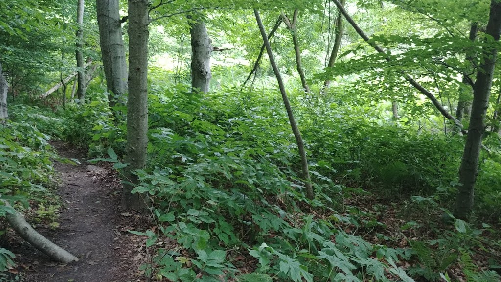 Rouge River Park | Unnamed Road, Scarborough, ON M1B, Canada, Canada