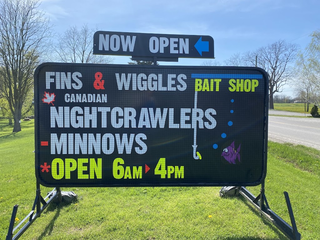 Fins & Wiggles Bait Shop | 1109 Brant County Hwy 54, Ohsweken, ON N0A 1M0, Canada | Phone: (519) 865-7440