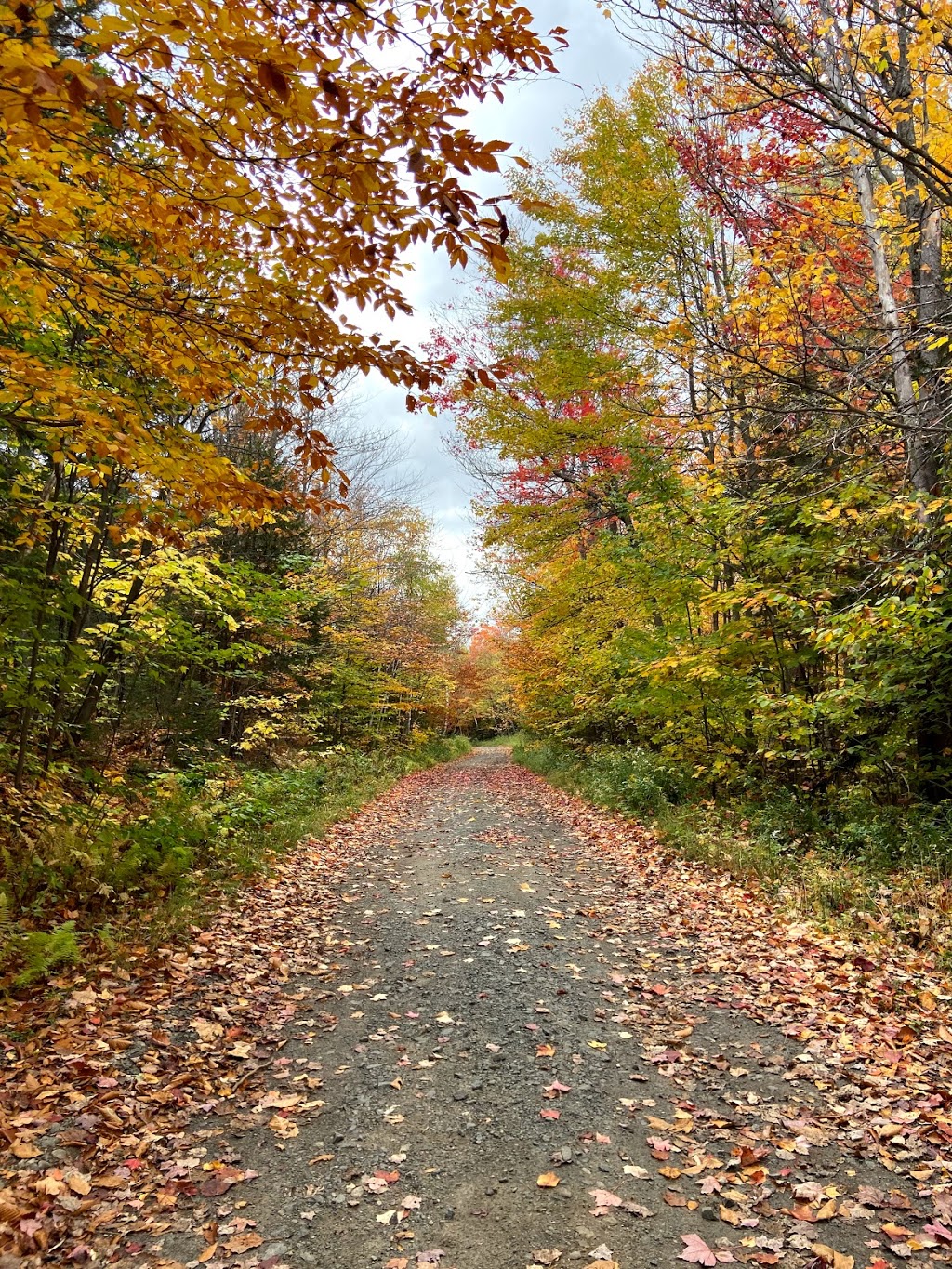 Parc du Mont-Loup-Garou | 1381 Boulevard de Sainte-Adèle, Sainte-Adèle, QC J8B 1A3, Canada | Phone: (450) 229-2921