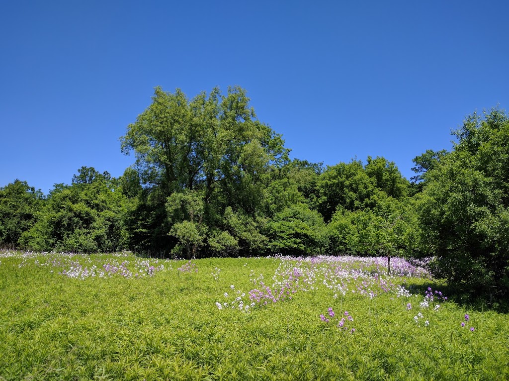 Carisbrook Drive Natural Area | Bridgeport North, Kitchener, ON N2K, Canada