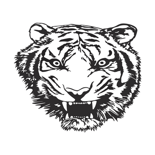 Tiger Shadow Muay Thai | 895 Bd des Laurentides Studio 2, Piedmont, Quebec J0R 1K0, Canada | Phone: (450) 987-0298