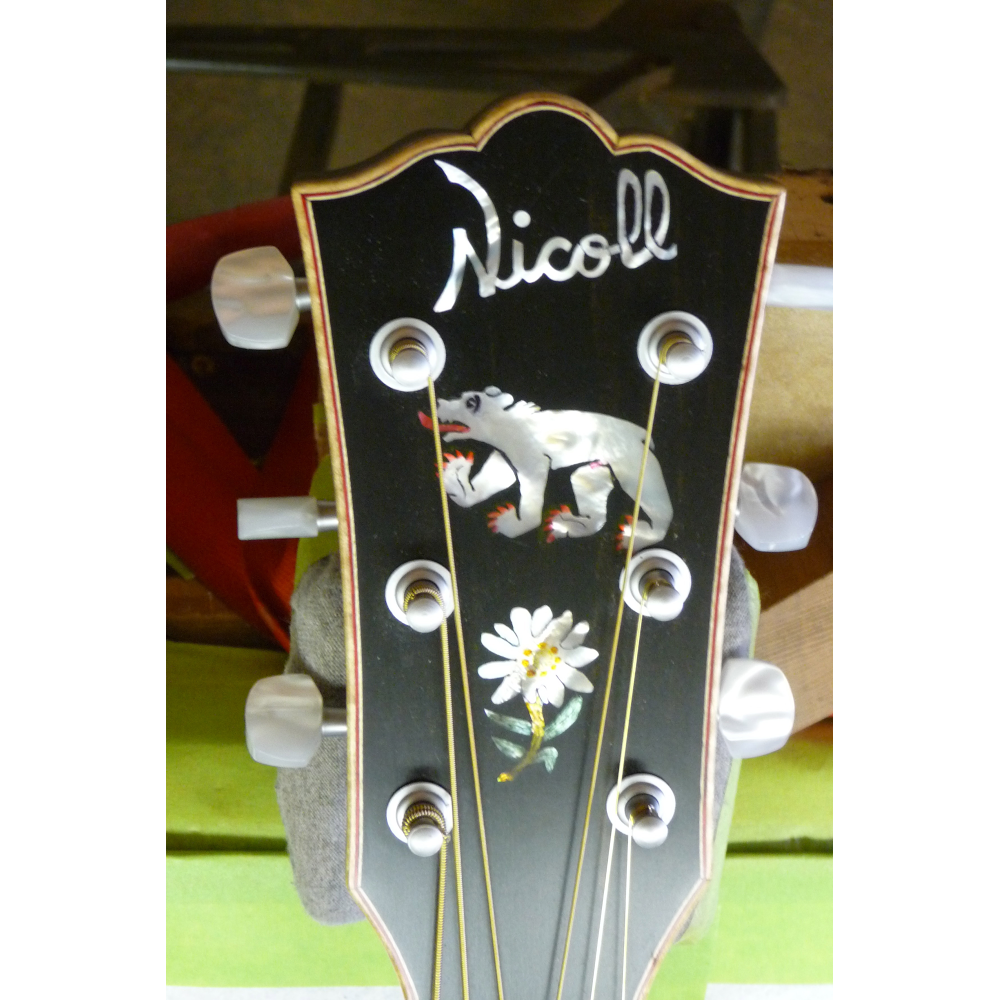 Nicoll Guitar | 11830 152 St NW #19, Edmonton, AB T5V 1E3, Canada | Phone: (780) 446-4253