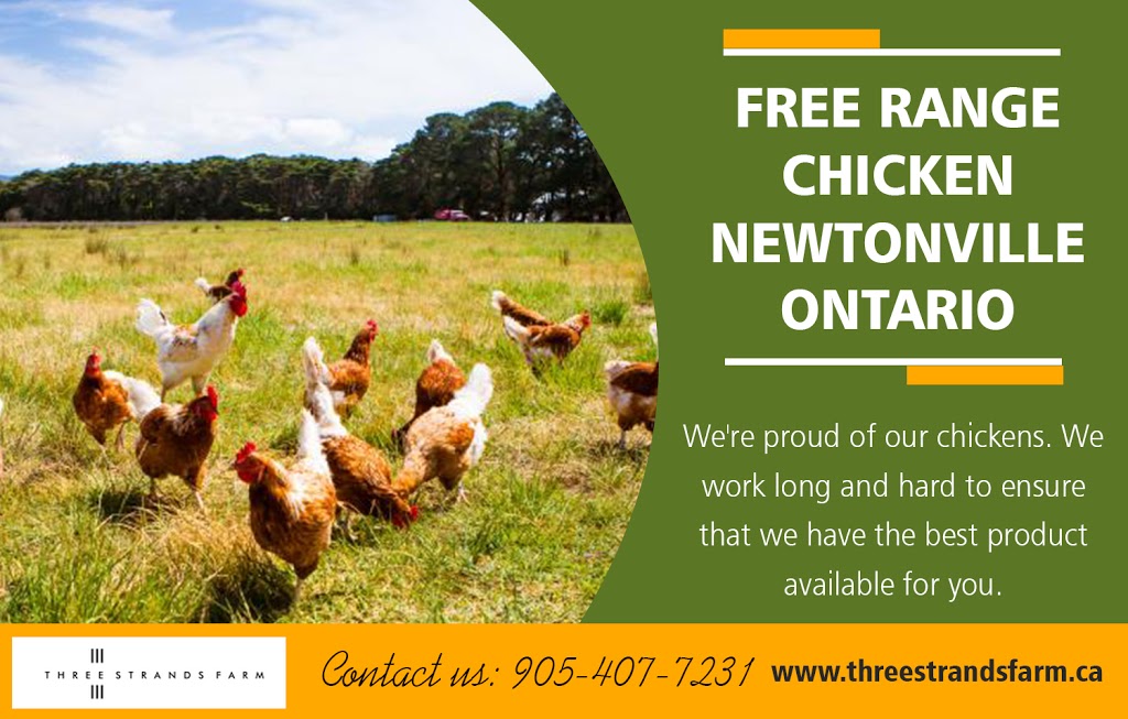 Three Strands Farm | 6732 Shiloh Rd, Newtonville, ON L0A 1J0, Canada | Phone: (905) 407-7231