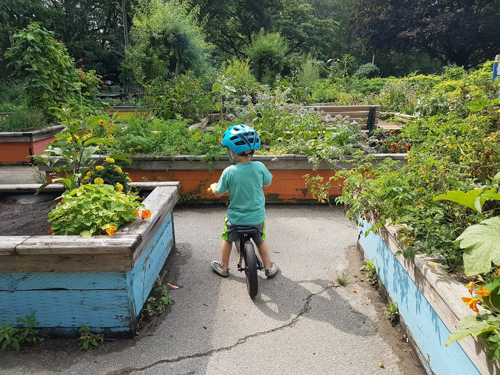 High Park Childrens Garden & Teaching Kitchen | 105 Colborne Lodge Dr, Toronto, ON M6S 2X3, Canada | Phone: (416) 392-1329