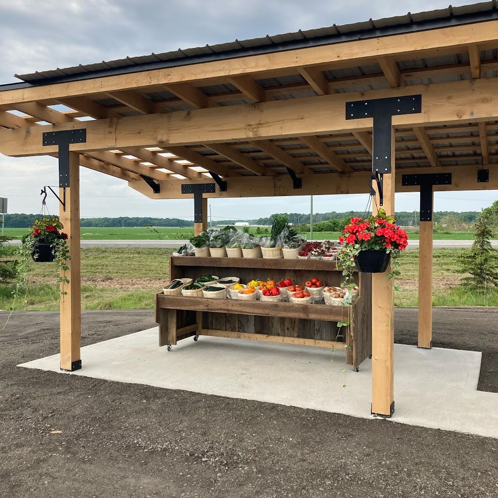 LE POTAGER DU COIN | Chemin St Simon, Mirabel, QC J7N 2V2, Canada | Phone: (438) 502-1126