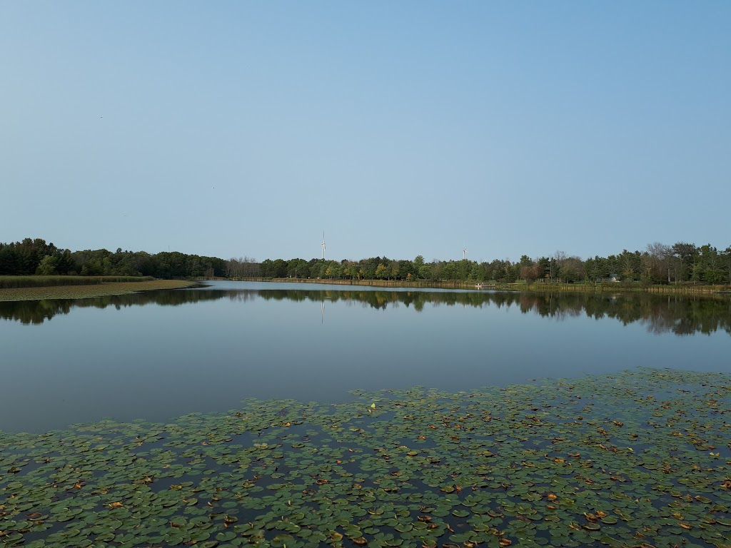 Chippawa Creek Conservation Area | 74646 Regional Rd 45, Wellandport, ON L0R 2J0, Canada | Phone: (905) 386-6387