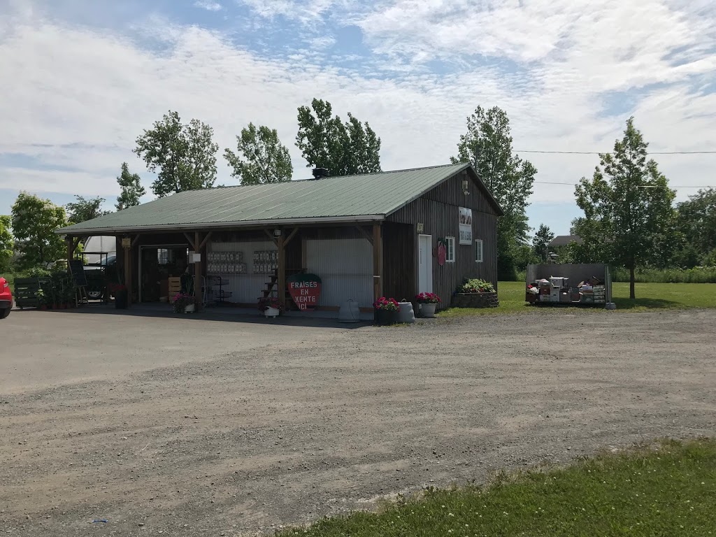 Ferme Lortie | 2100 Avenue des Perron, Laval, QC H7H 3C5, Canada | Phone: (450) 622-7216