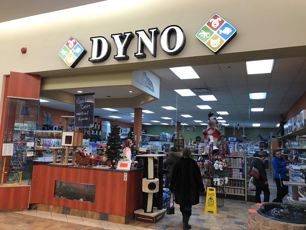 Dyno | 3333 Rue du Carrefour #209, Québec, QC G1C 5R9, Canada | Phone: (418) 666-5550