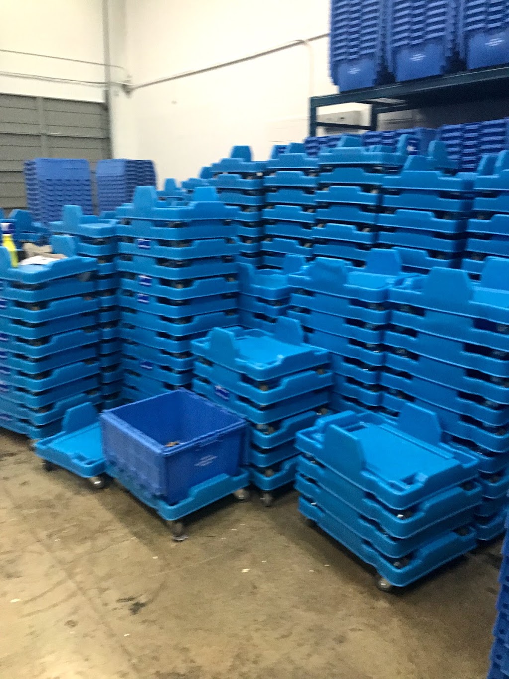 Blue Bins Unlimited BC | 702 Chester Rd, Delta, BC V3M 6J1, Canada | Phone: (604) 515-0950