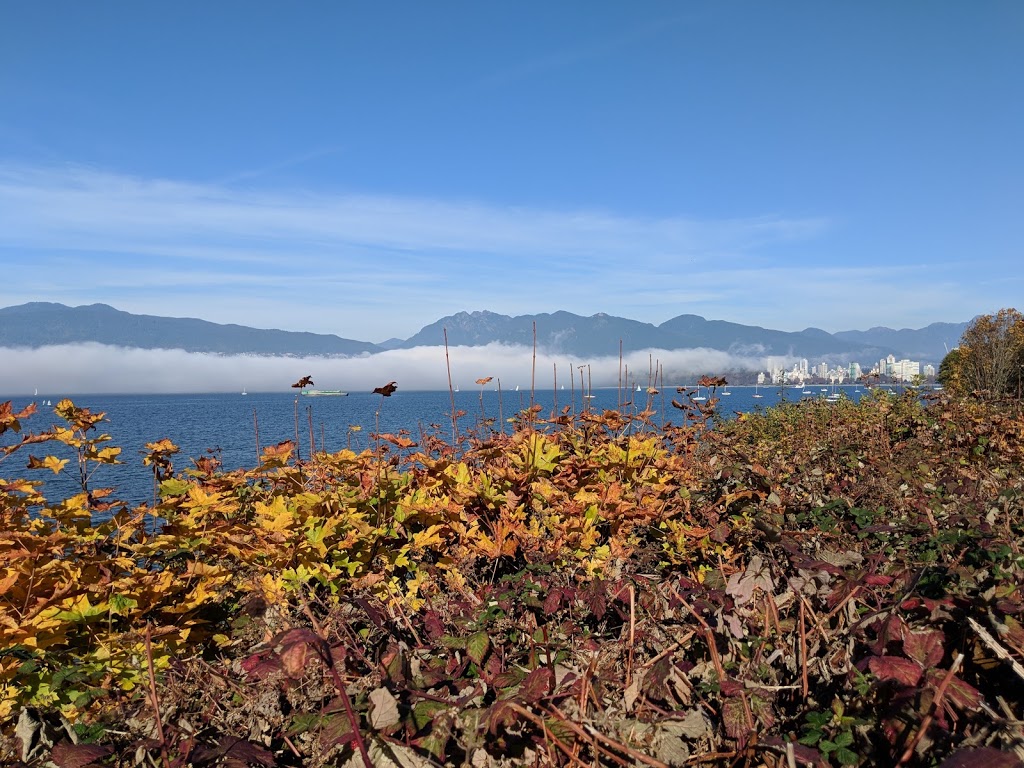 Point Grey Park Site at Stephens Street | 2699 Point Grey Rd, Vancouver, BC V6K, Canada | Phone: (604) 873-7000