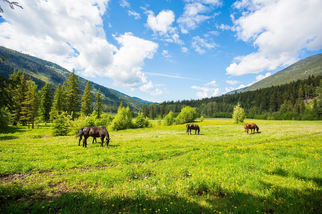 Epona Rise Retreat Center @ Tod Mountain Cabins | 3968 Heffley Louis Creek Rd, Heffley Creek, BC V0E 1Z1, Canada | Phone: (250) 578-0226