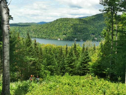 Abattage LUnik | 399 Chemin Fleurant, Lac-Supérieur, QC J0T 1J0, Canada | Phone: (819) 430-3639