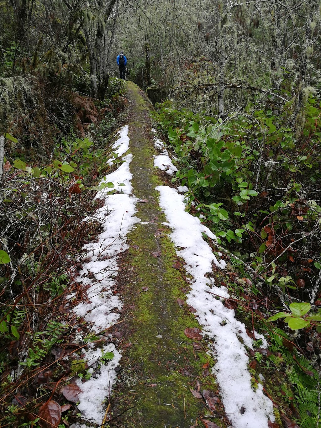 Y Outdoor Centre - Camp Thunderbird | 5040 Glinz Lake Rd, Sooke, BC V9Z 0E3, Canada | Phone: (250) 642-3136