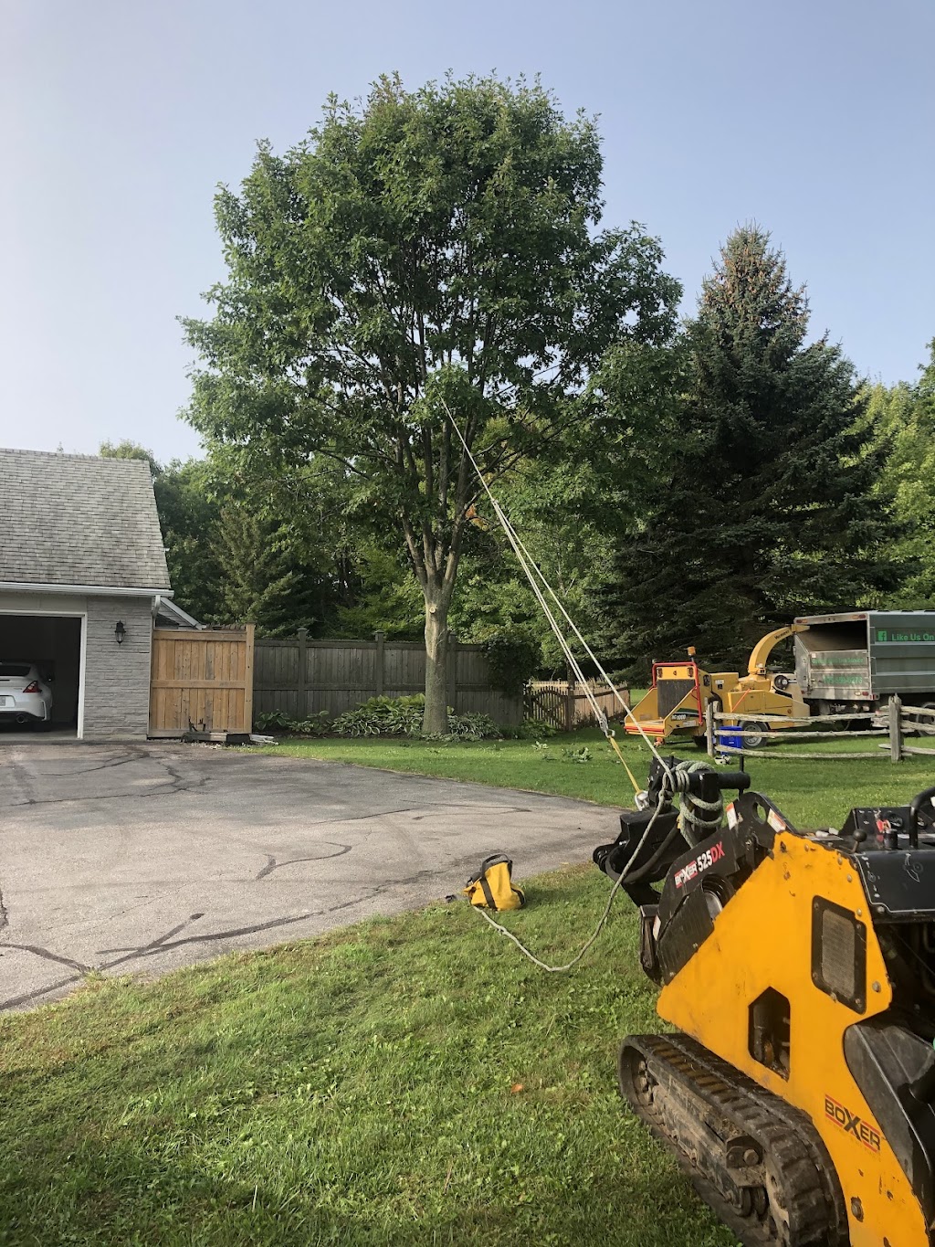 Govier Expert Tree Service | 43 Doxsee Ave S, Campbellford, ON K0L 1L0, Canada | Phone: (705) 559-0276