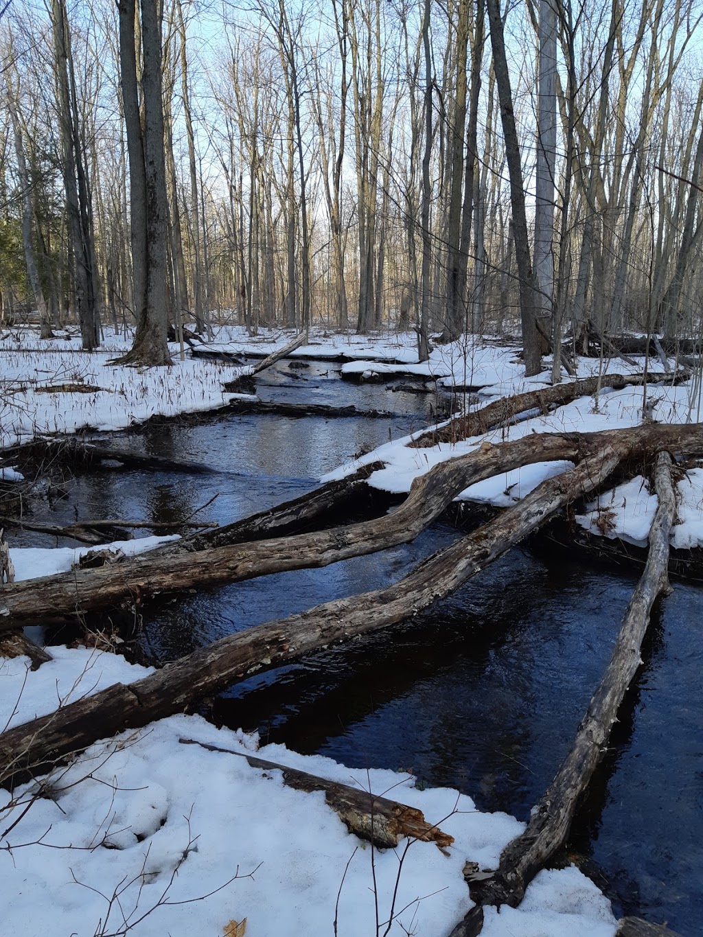 Speyside Bruce Trail | 7838 15 Side Rd, Acton, ON L7J 2M1, Canada | Phone: (905) 878-5939