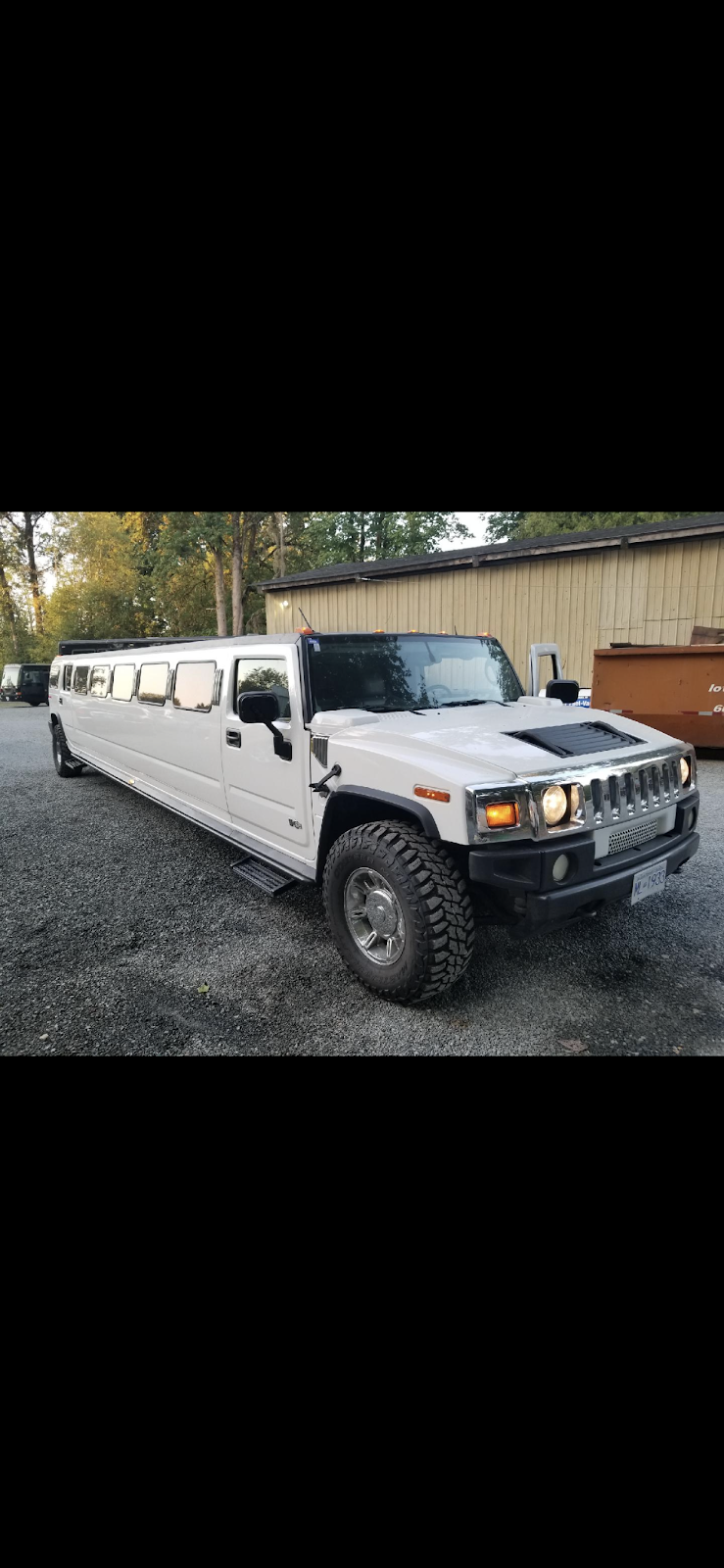 Toronto PearsonA1limo | 298 Gillett point, Milton, ON L9E 1C6, Canada | Phone: (647) 386-3868