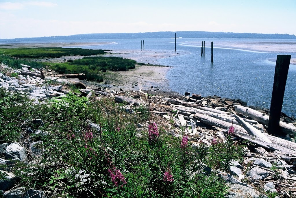 Boundary Bay Regional Park | Boundary Bay Rd, Delta, BC V4L 1N2, Canada | Phone: (604) 520-6442