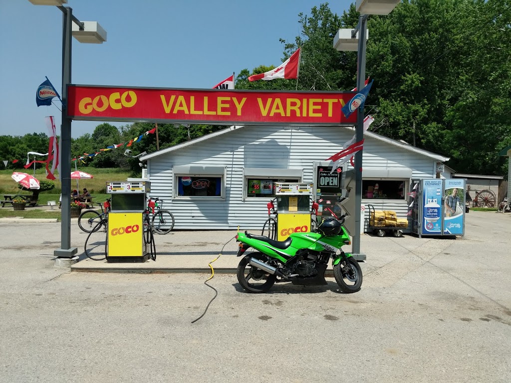 VALLEY VARIETY GOCO GAS | 5982 Plank Rd, Vienna, ON N0J 1Z0, Canada | Phone: (519) 874-4328