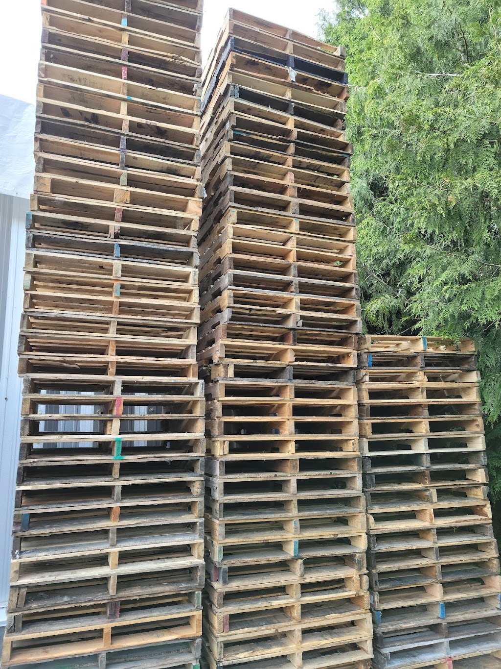 All Pallet Supplies inc | 7181 264 St, Langley Twp, BC V4W 1P8, Canada | Phone: (604) 613-4062