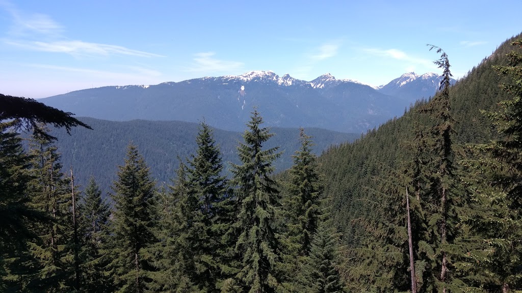 Polytrichum Viewpoint | Halvor Lunden Trail, Anmore, BC V3H 4Z2, Canada