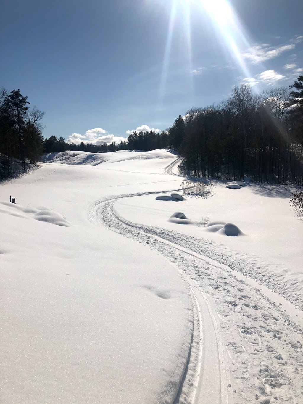 Muskoka Bay Resort | 1217 N Muldrew Lake Rd, Gravenhurst, ON P1P 1T9, Canada | Phone: (705) 687-7900