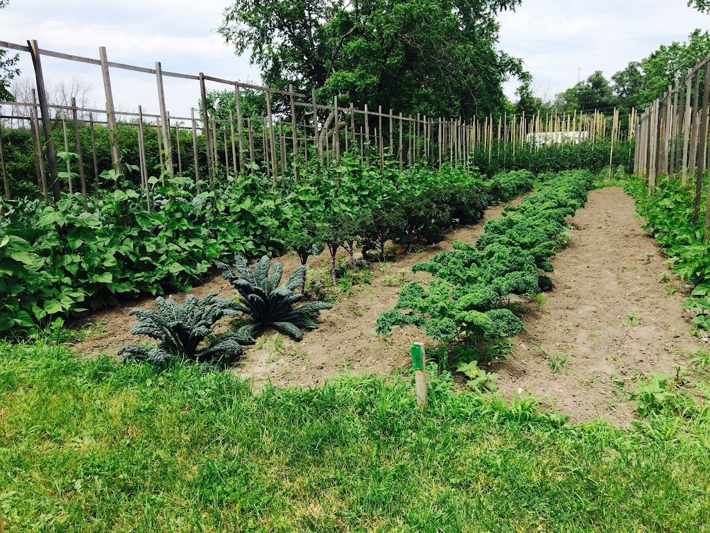 Veggie Trail Farms | 3229 Richmond Rd, Nepean, ON K2H 8G4, Canada | Phone: (613) 596-2657