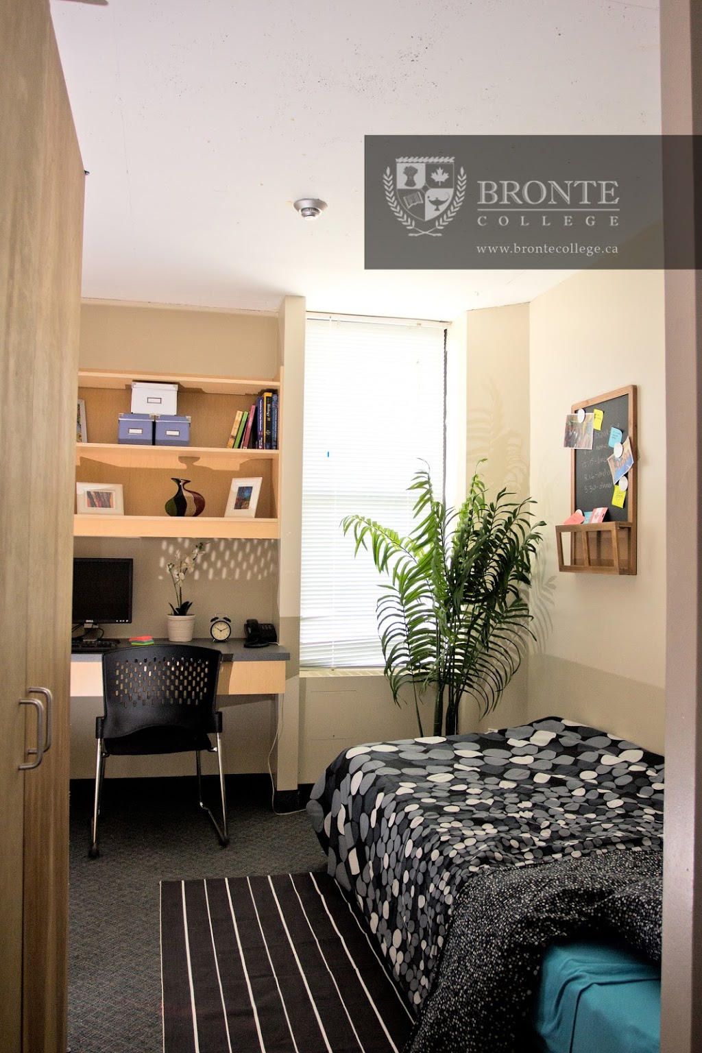 Bronte College | 88 Bronte College Ct, Mississauga, ON L5B 1M9, Canada | Phone: (905) 270-7788