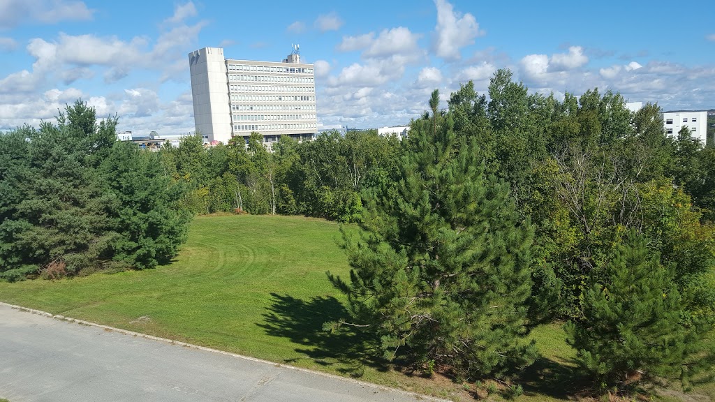 Laurentian University | 935 Ramsey Lake Rd, Sudbury, ON P3E 2C6, Canada | Phone: (705) 675-1151