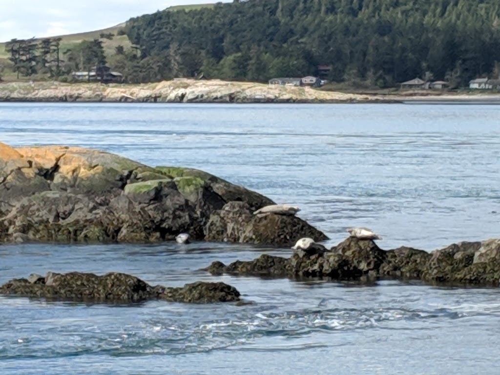 Shark Reef Nature Trail | 1752-1998 Shark Reef Rd, Lopez Island, WA 98261, USA