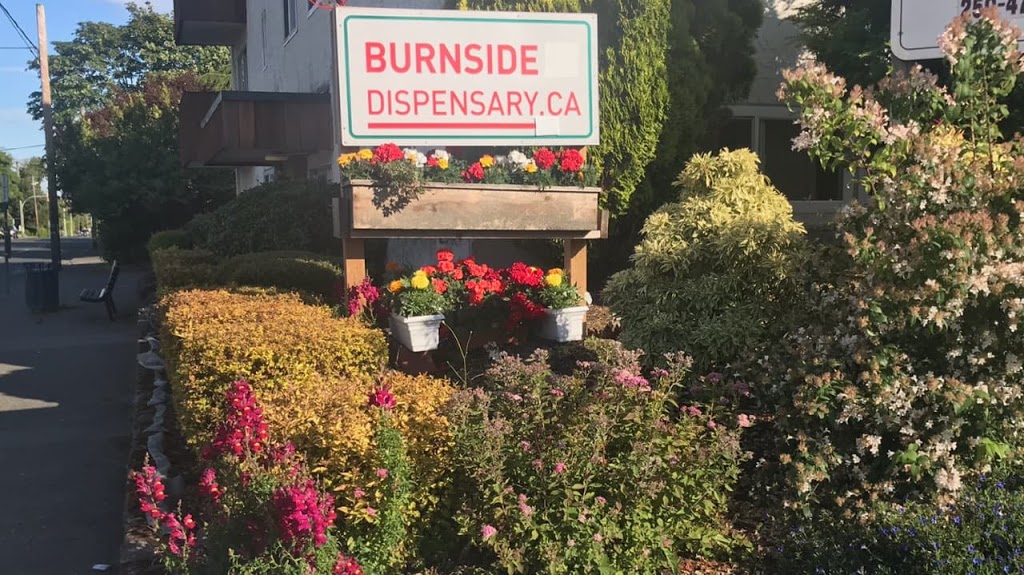 Burnside Buds.ca | 3175 Harriet Rd, Victoria, BC V9A 1A1, Canada | Phone: (250) 590-5335