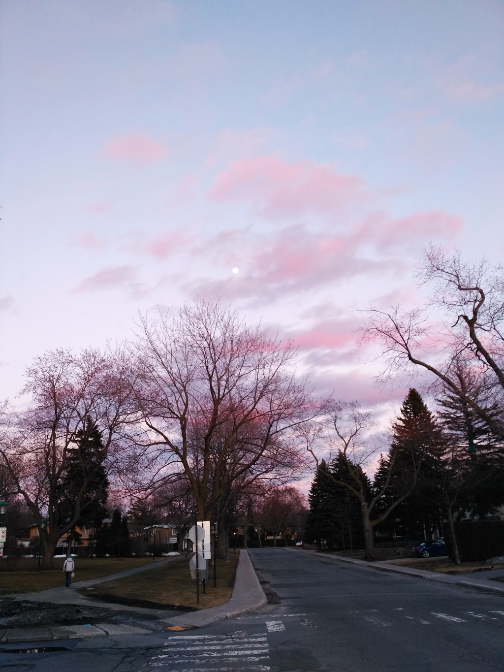 Dakin Park | Mount Royal, QC H3R, Canada