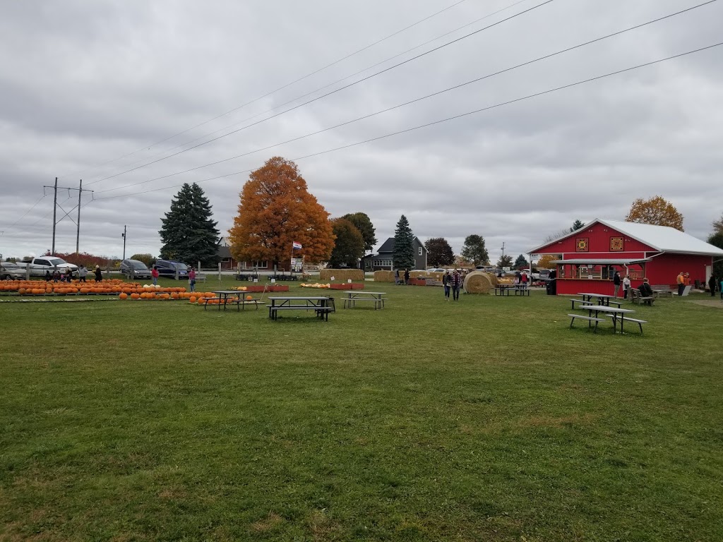 Allsop Farm Pumpkins & More | 195 Road 3 E, Kingsville, ON N9Y 2E5, Canada | Phone: (519) 733-2896