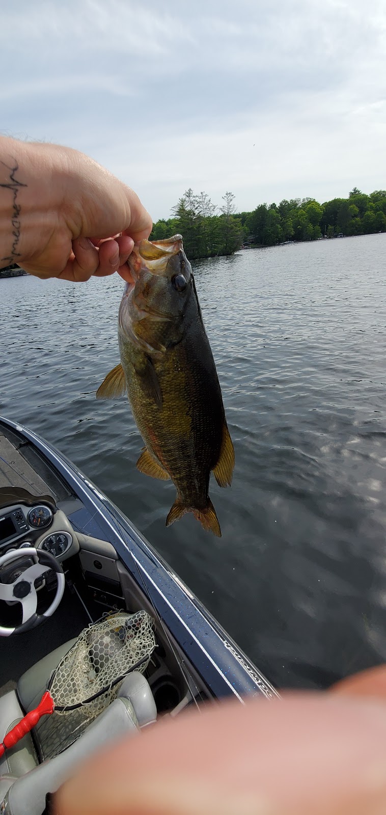 Muskoka Guided Fishing Tours | 1153-1109, Muskoka District Road 14, Bracebridge, ON P1L 0A1, Canada | Phone: (705) 644-4282