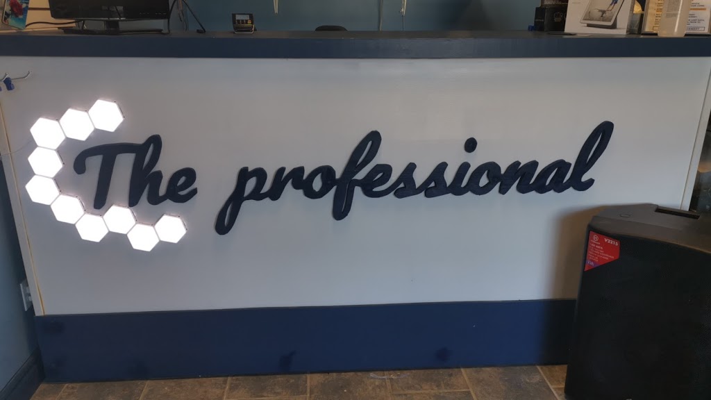 The Professional | 1153 Lauzon Rd, Windsor, ON N8S 3M9, Canada | Phone: (519) 999-1120